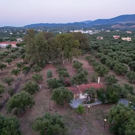 Kartelas Garden Escape Near The Sea Vakantiehuis Kyparissia
